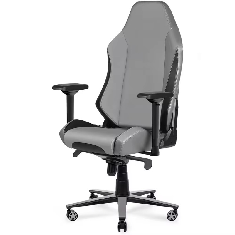 Gamingstoelen Computer Gamer-s - Pc Gaming Video recensie en prijs